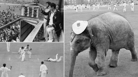 टीम इंडिया का Kennington Oval स्टेडियम से है खास कनेक्शन,पहली जीत से लेकर स्टेडियम में हाथी लाने की 