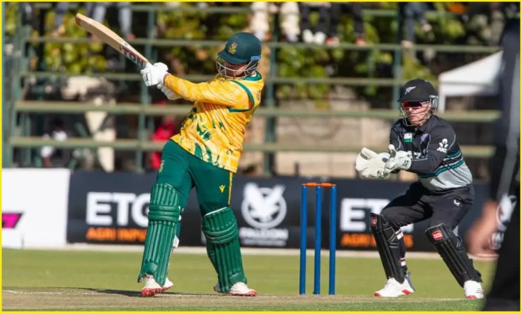 NZ vs SA Pitch Record: न्यूजीलैंड बनाम साउथ अफ्रीका, जान लीजिए कैसा रहा है हरारे की पिच का मिज़ाज