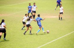 Dps rk puram: Latest News, Schedules, and Results Cricketnmore