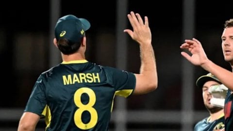 David and Hazlewood shine as Australia beat South Africa by 17 runs in T20I series opener