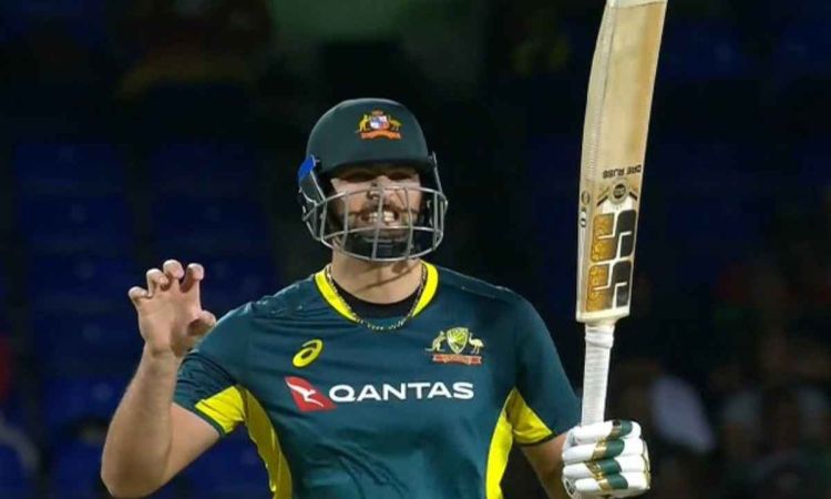 Australia batter Tim David sanctioned for incident against West Indies