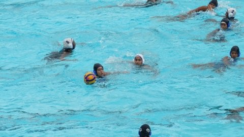 Jr Waterpolo C'ship: Hosts Karnataka lead the charge as semis lineups finalised