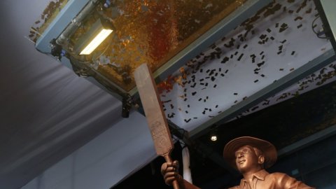 MCA inaugurates Sharad Pawar Cricket Museum at Wankhede Stadium