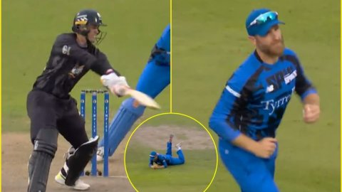Kane Williamson ने तोड़ा Mark Chapman का दिल, डाइव मारकर पकड़ा बेहद ही बवाल कैच; देखें VIDEO