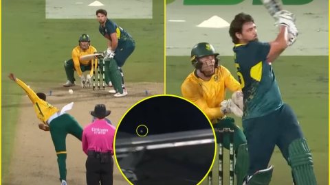 Tim David ने Nqaba Peter को मारा गगनचुंबी छक्का, स्टेडियम की छत पर गिरी बॉल; देखें VIDEO