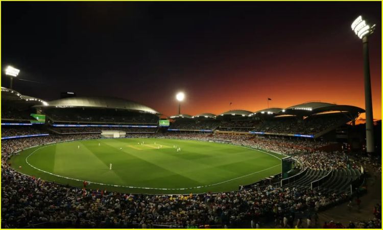 AUS vs IND 2nd ODI Pitch Report: एडिलेड में होगी भारत और ऑस्ट्रेलिया की टक्कर, जान लीजिए कैसा रहा है पिच का मिजाज़