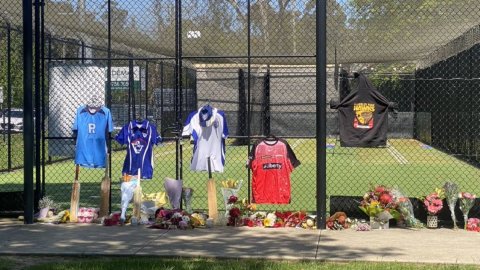 Young Australian Cricketer Ben Austin Dies After Being Hit By Ball