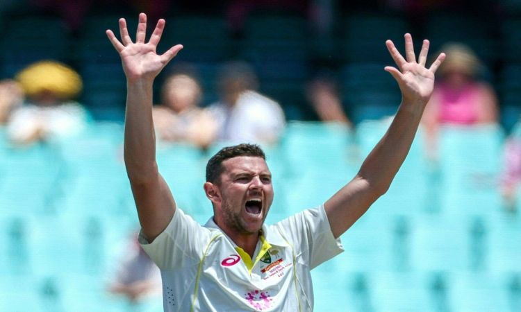 Josh Hazlewood