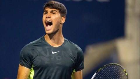 Haggerty defends Davis Cup commitment amid absence of top stars