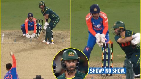 W,W,W,W,W,W: ग्लेन मैक्सवेल के काल बने वरुण चक्रवर्ती! क्वींसलैंड में भी उड़ा दिए डंडे; देखें VIDEO