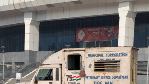 BWF India Open: After monkeys, stray dogs spotted at IG Sports Complex; dog van stationed at venue