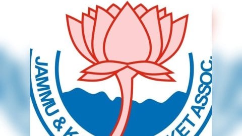 ‘League not recognised’ reacts JKCA on cricketer playing with Palestine flag on helmet in Jammu