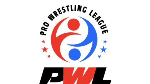 Organisers to launch Pro Wrestling League-based gaming app to keep fans engaged: PWL Chairman Dayaan