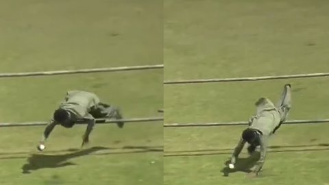 VIDEO: फैन ने दिलाई ग्लेन फिलिप्स की याद, डाइव लगाकर स्टैंड्स में पकड़ा करिश्माई कैच