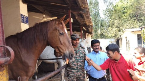 MP: Specially-abled students from Army school have fun outing with military horses​