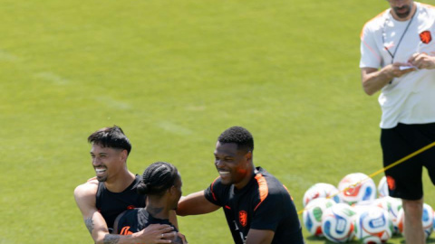 FIFA WC: When and where to watch Netherlands vs Japan, know all details