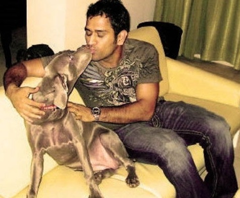 Hd Image for Cricket Mahendra Singh Dhoni with his Doggy in Hindi